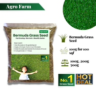 Agro Farm Premium Bermuda Grass Seed / Philippines Grass Seed / Cow Grass Seed / Benih Rumput