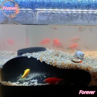FOREVER Aquarium Underground Tunnel Cave, Under Gravel Tunnel Curve Aquarium Decoration Tunnel Caves