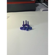 Original titanium body bolts gr5