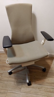 Herman Miller Embody Ergonomic Chair