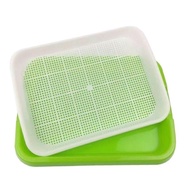 Specialized hydroponic sprout growing tray, 34x25x5cm thick
