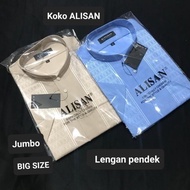 PROMO TERBATAS!!! BAJU KOKO ALISAN LENGAN PENDEK/BIG SIZE/JUMBO