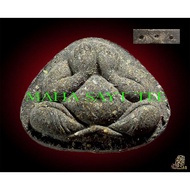 高僧龙婆通银打固版必打(pidta luang phor thong b.e.2561)-泰国佛牌 thai amulets 佛牌 泰国圣物
