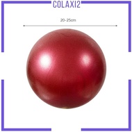 [Colaxi2] 6xSmall Pilates Ball Core Ball Heavy Duty Thickened 9 Inch Exercise Ball Yoga Ball for Gymnastics Working Out Stability Home Gym