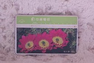 9031 仙人掌(四) 1999年發行 植物 中華電信 光學卡 磁條卡 電話卡 通信卡 通訊卡 通話卡 二手 收集卡 無餘額 收藏