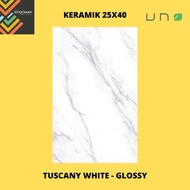 KERAMIK 25X40 TUSCANY WHITE - GLOSSY