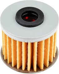 Kijima DCT 15412-MGS-D21 NC700 105-536 Oil Filter Element