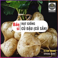 [Wholesale] Cassava and jicama seeds