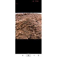 Top Soil Tanah Merah
