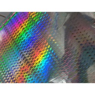 HOT STAMPING FOIL HOLOGRAM FOIL/ WITH LARGE & SMALL SCALE MOTIFS, HOLOGRAM TEGAS