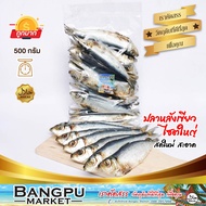 ปลาหลังเขียวใหญ่ (ตากแห้ง) 500 g. ถอดเกล็ด ปลาสองแดด ไร้เกล็ด  ขนาดใหญ่ (ปลาหลังเขียวเค็ม ปลาเค็มไม่