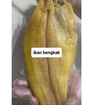 Ikan patin pekasam traditional kemboja sedap / ikan patin bengkak ikan pra herm ikan perap ikan peka
