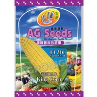 Benih Jagung King Corn 316 Sweet Corn 🌽 🌽‼️