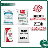 Muriate Of Potash MOP 50kg Potassium Chloride Fertilizer NPK 0-0-60 Baja Tunggal Bunga Buah Baja MOP