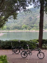 Brompton 靚款 （not c line p line t line)