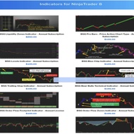 Buyside Global Indicators Bundle for NinjaTrader 8