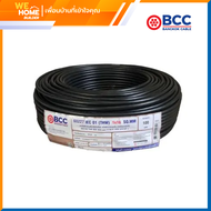 สายไฟ 60227 IEC 01 (THW) 1 x 16 ตร.มม. BCC ยาว 100 เมตร สีดำ