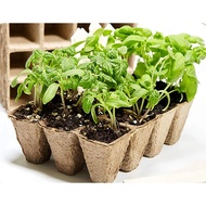 Seedling Tray 10 Grid Seedling Tray Biodegradable Pulp Seedling Cup Garden Nursery Pot Plant Seedlin