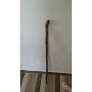 Tongkat Sulur Bertam