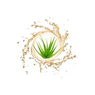 [Shunyi Chemical] American Aloe Vera Extract 500g 1KG High Concentration 10 Times Concentrated 100% 