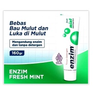 Enzyme Fresh Mint 160 gr Toothpaste Without Detergent
