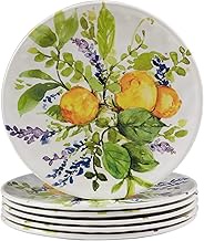 Certified International Lemon Zest Melamine 9" Salad/Dessert Plates, Multicolor, Medium, Set of 6