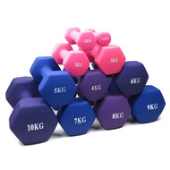 Factory Direct Household Dumbbell Women's Men's Fitness Cast Iron Children's Dumbbell Kettlebell Arm