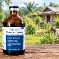 VETONE Vitamin B-12 10000 mcg 100ml