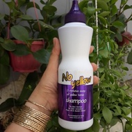 BINGO NO YELLOW SHAMPOO REMOVAL SHAMPOO IN ONLY 3 MINUTES 500ML