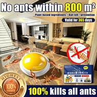 【Kill rate 99.9%】racun cicak rumah paling kuat lizard killer bait lizards trap cicak killer gecko re