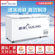 ST-ΨSuiling Big Freezer Horizontal Freezer Commercial Large Capacity Freezer Storage Food in Refrigerator Refrigerator R