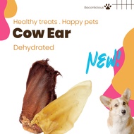 Dehydrated cow ear, dental chew, dog chew