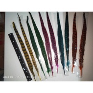 25cm To 30cm Feathers, 4 Pieces In A Set, Random Shipping