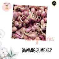 bawang merah - bawang sumenep