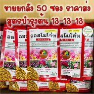 ปุ๋ยออสโมโค้ท สูตร 13-13-13 *** ยกลัง 50 ซอง *** ขนาด 100 กรัม สูตรบำรุงต้น Osmocote ปุ๋ยละลายช้า ออ