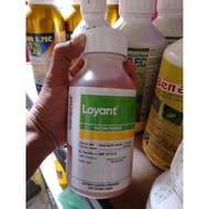 Loyant racun rumpai tanaman padi