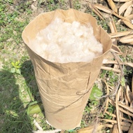 100% Natural Cotton Ball from 1KG cotton ball