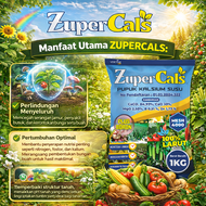 ZUPERCALS Pupuk Kalsium Susu Plus Boron 1KG – Pupuk CaCO3 CaO Mesh 4000 100% Larut Membantu Menguatk