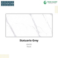 Granit Titanium 60x120 Monochrome