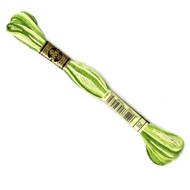 DMC Art 117 - 92 Yarn - Variegated Avocado