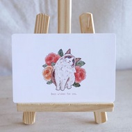 布偶貓貓明信片卡片 萬用卡 賀卡 文創 布偶貓 貓咪 可愛