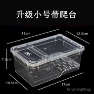 2Small Size Reptile Pet Amphibian Breeding Box Turtle Tank Gecko Horned Frog Box with Basking Platfo