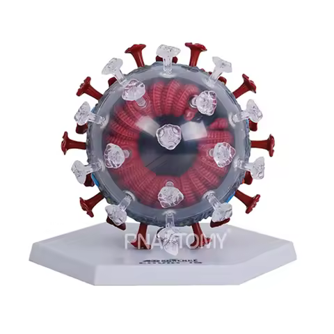 4D MASTER Virus Model 50 Parts DIY Toys Educational Equipment Children Gift Assembly Model Teaching 