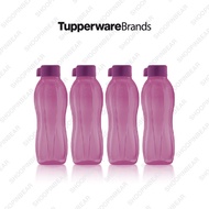 Tupperware Eco Bottle (4) 750ml | Botol Air Eco