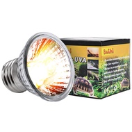 Turtle Light Back Bulb