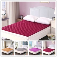 Moisture Proof Mattress 1.5m Foldable Tatami Single Double Mattresses Queen Size