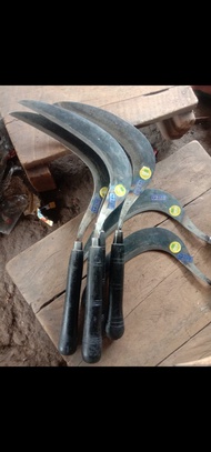 Arit Rumput Sawit Modern