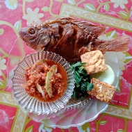 nila goreng lalapan