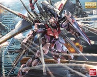 MG 1/100 嫣紅突擊高達 (鳳凰裝備) Ver. RM