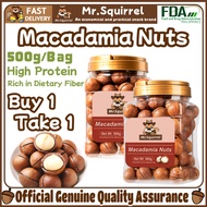 Mr.Squirrel Healthy Snacks Food Macadamia Mixed Nut Nuts Roasted Mixed Nuts